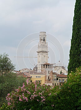 San MicheliÃ¢â¬â¢s bell tower of the cathedral of Verona